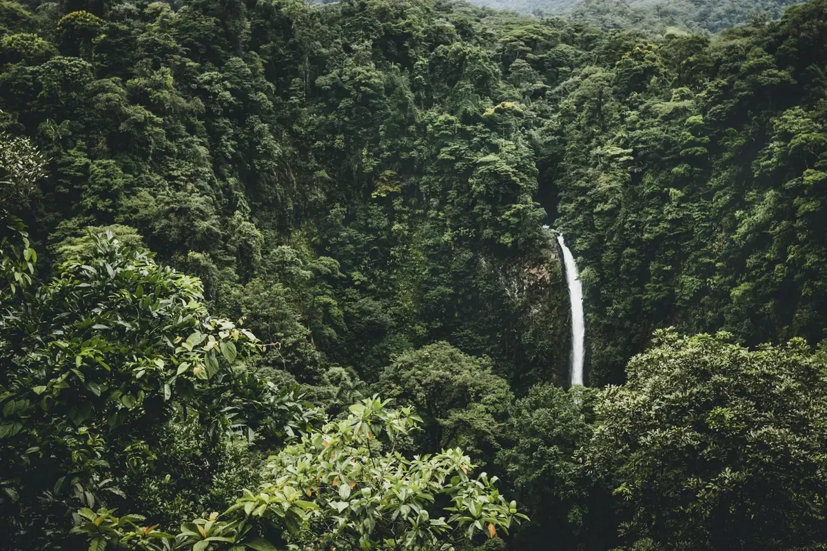 La Fortuna Waterfall dropping through rainforest, a stop on a hot springs day tour in La Fortuna, Costa Rica